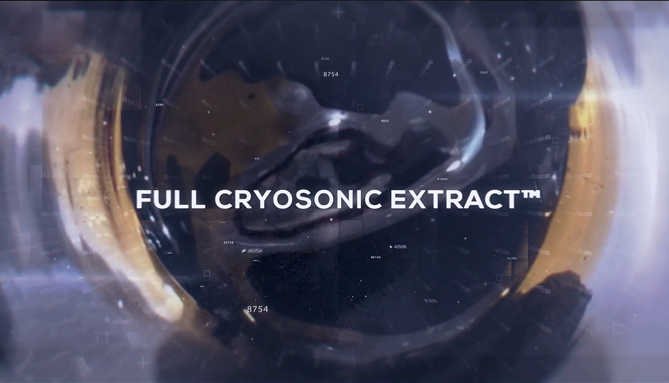 CBD Comparison and Entourage Effect